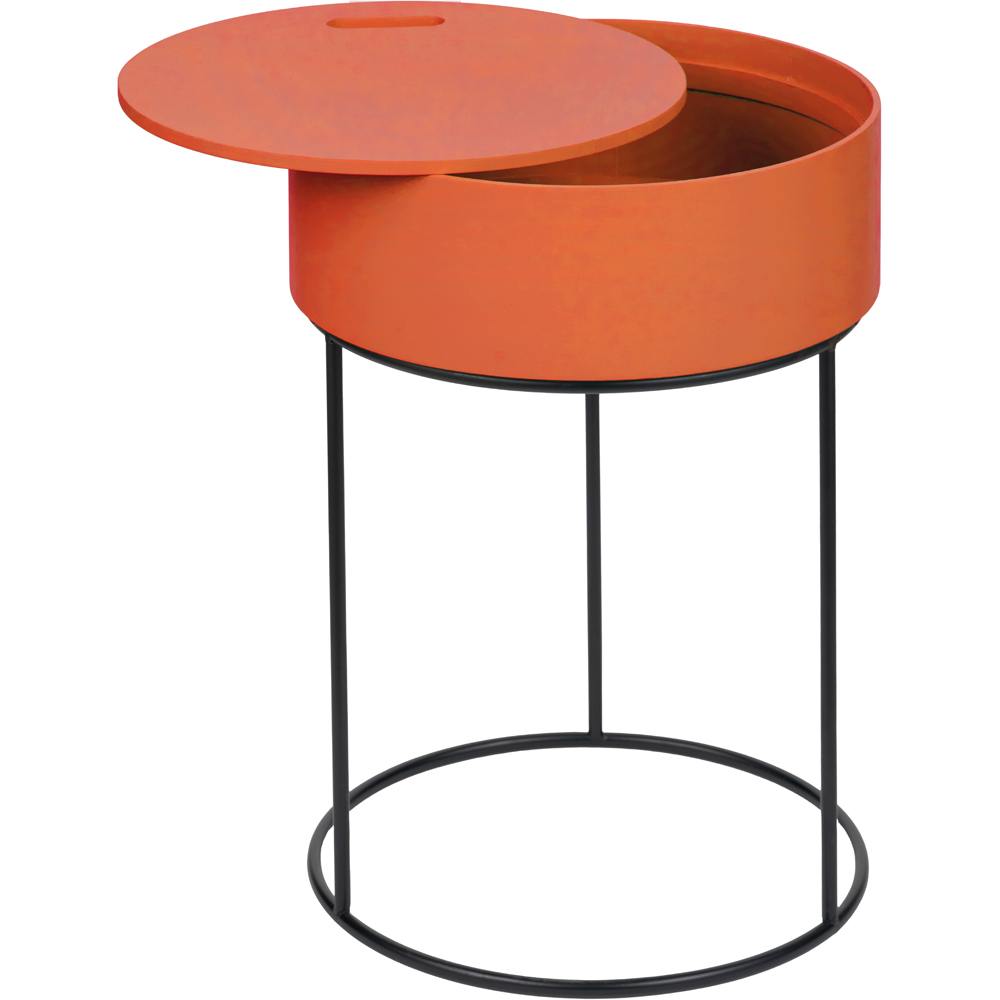 Pacific Lifestyle Hugo Tobacco Wood Veneer and Black Metal Storage Table Image 3