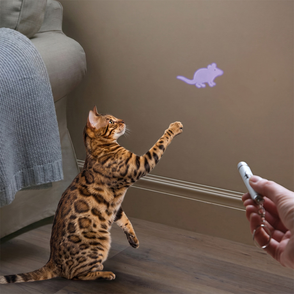 Avilo Interactive Tease Torch Cat Toy Image 2