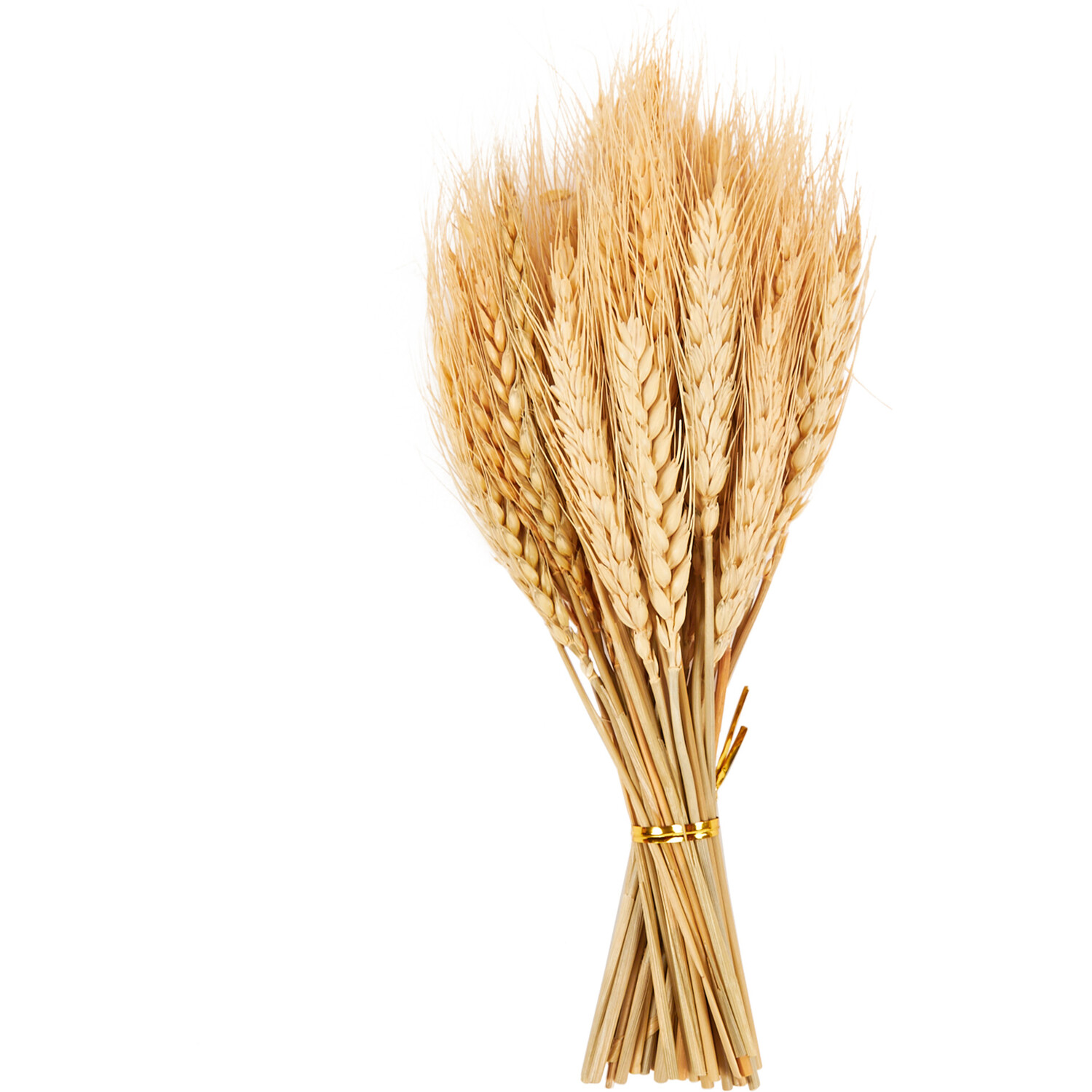 Hares Tail Grass or Wheat Decorative Picks Image 2