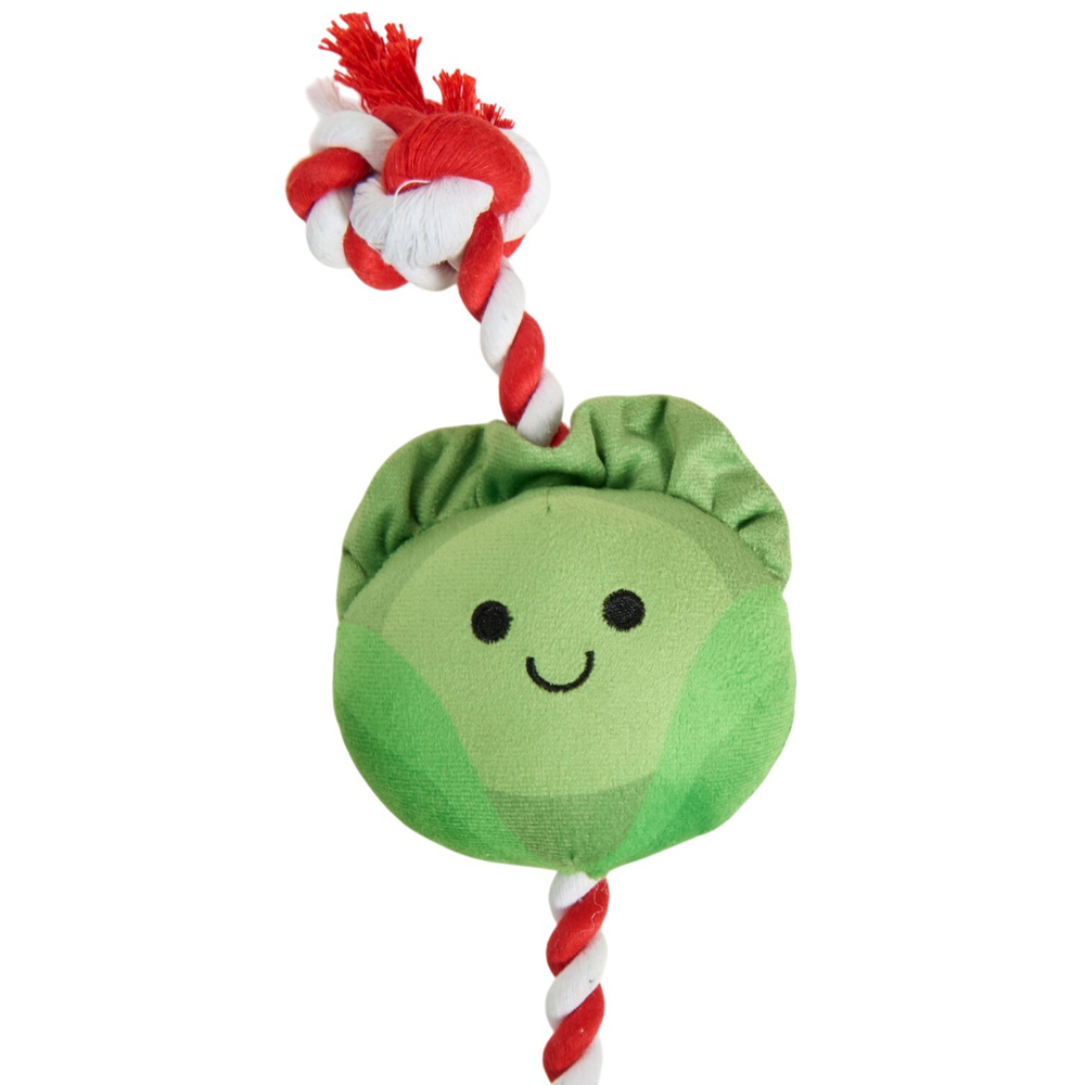 Sprouts Rope Dog Toy Image 5