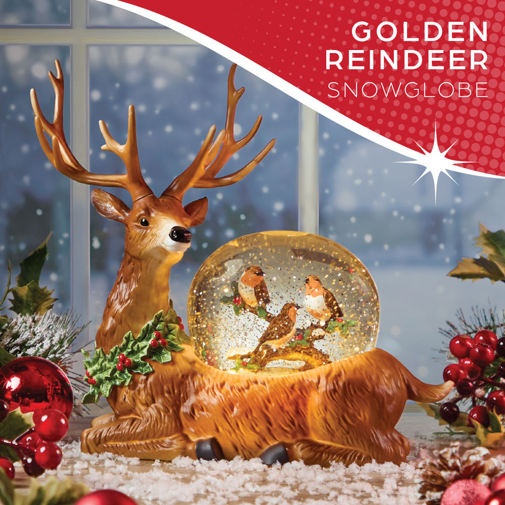 The Christmas Workshop Warm White LED Golden Reindeer and Robin Light Up Snow Globe 26cm Image 4
