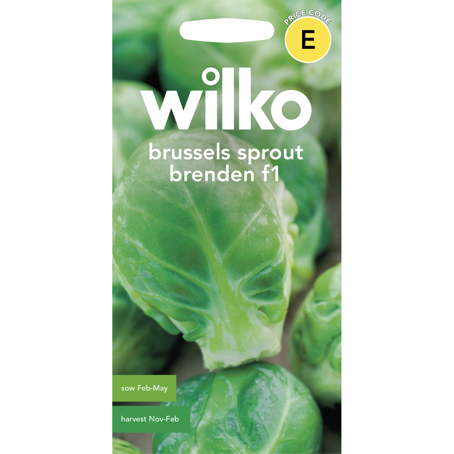 Wilko Brussels Sprout Brenden Seeds Image 1