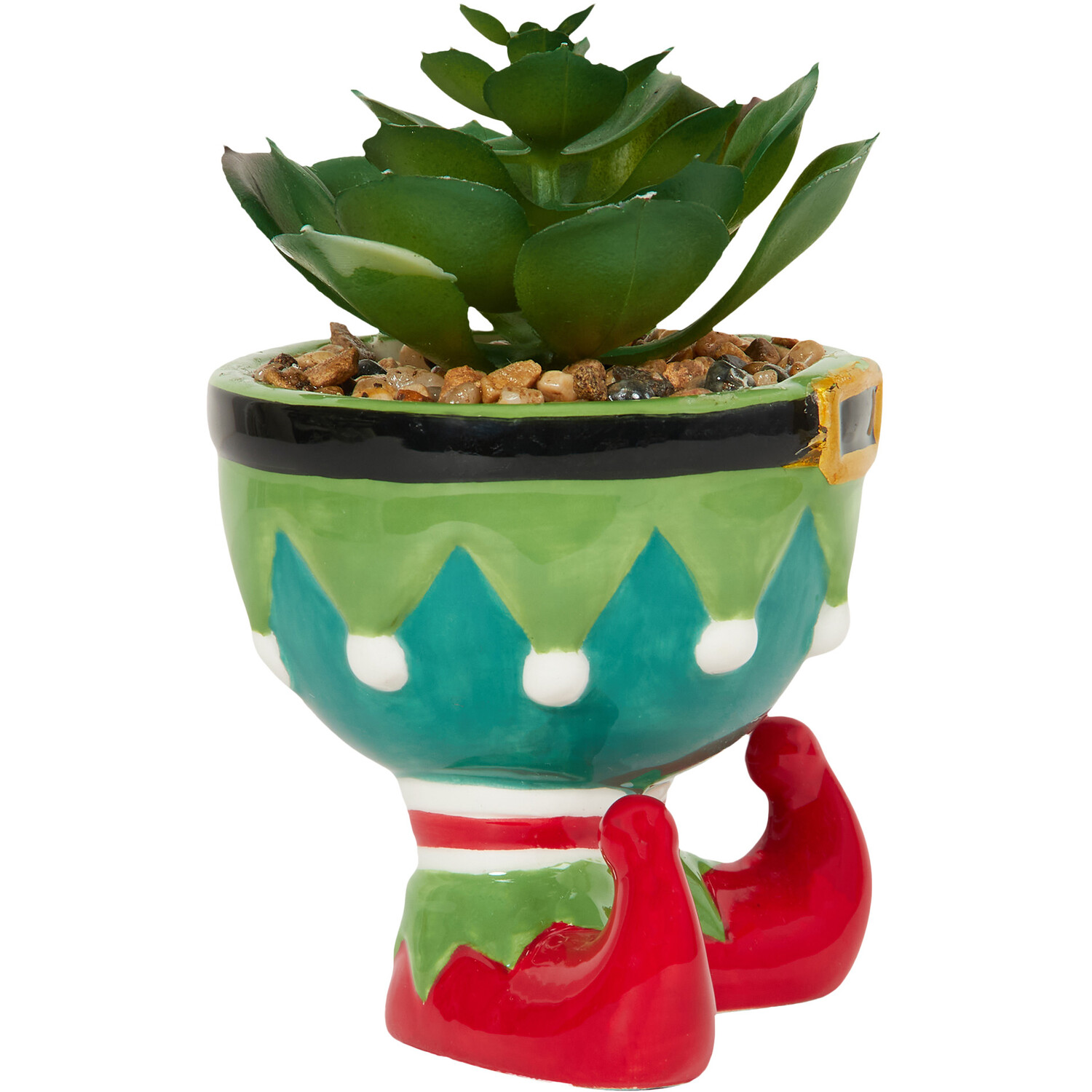 Novelty Christmas Succulent Image 4