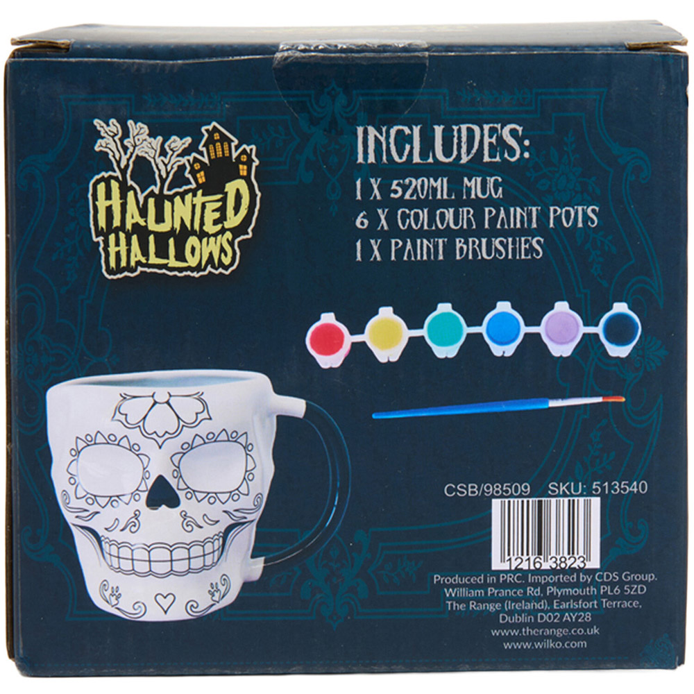 Paint Your Own Halloween Sugar Skull Mug Kit Image 5