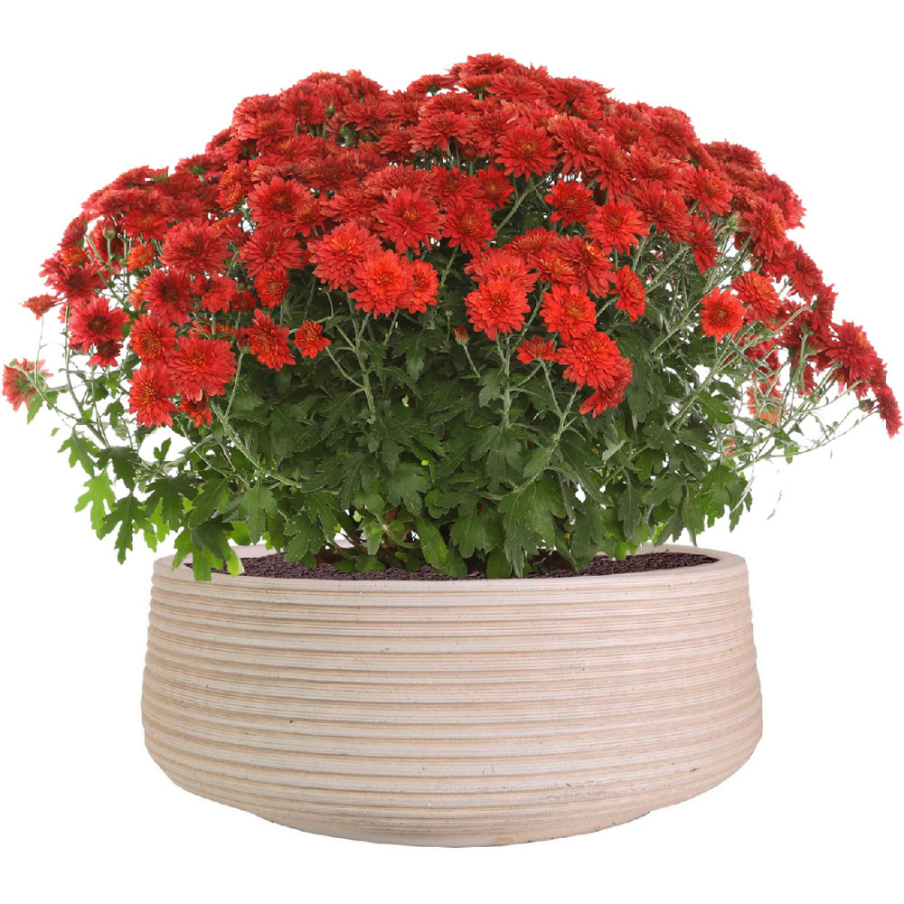wilko Large Ribbed Taupe Light Concrete Fibrestone Outdoor Bowl Plant Pot 18cm Image 3