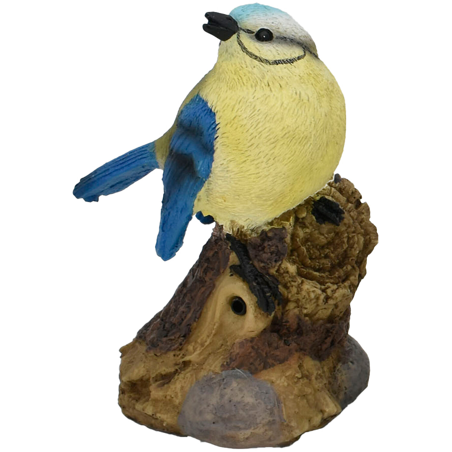 Chirping Birds Image 4