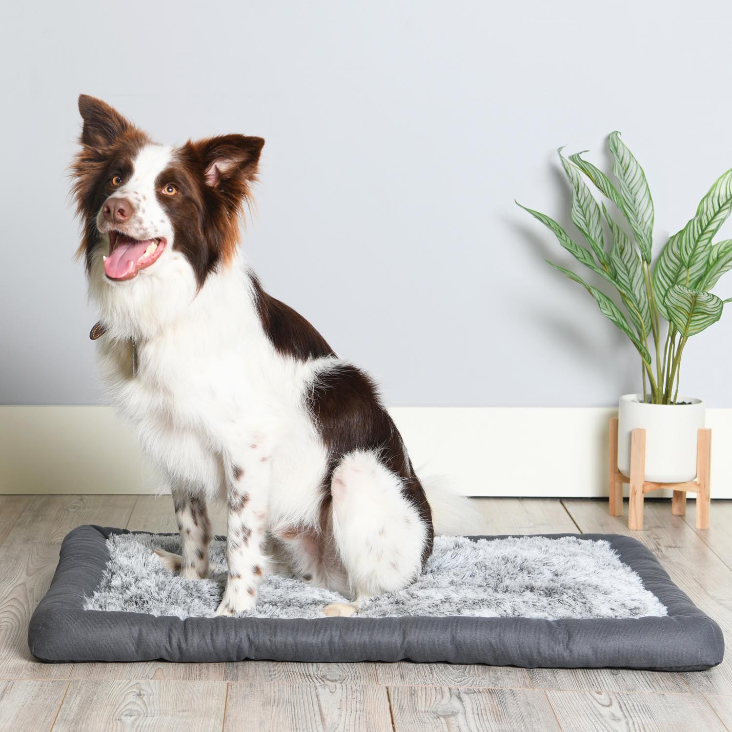 Clever Paws Grey Self Heating Dog Mat Image 5