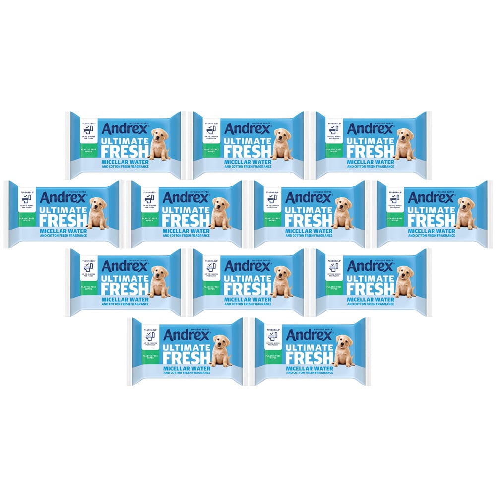 Andrex Washlets Classic Clean Biodegradable and Flushable Toilet Wipe 12 Pack Image 1
