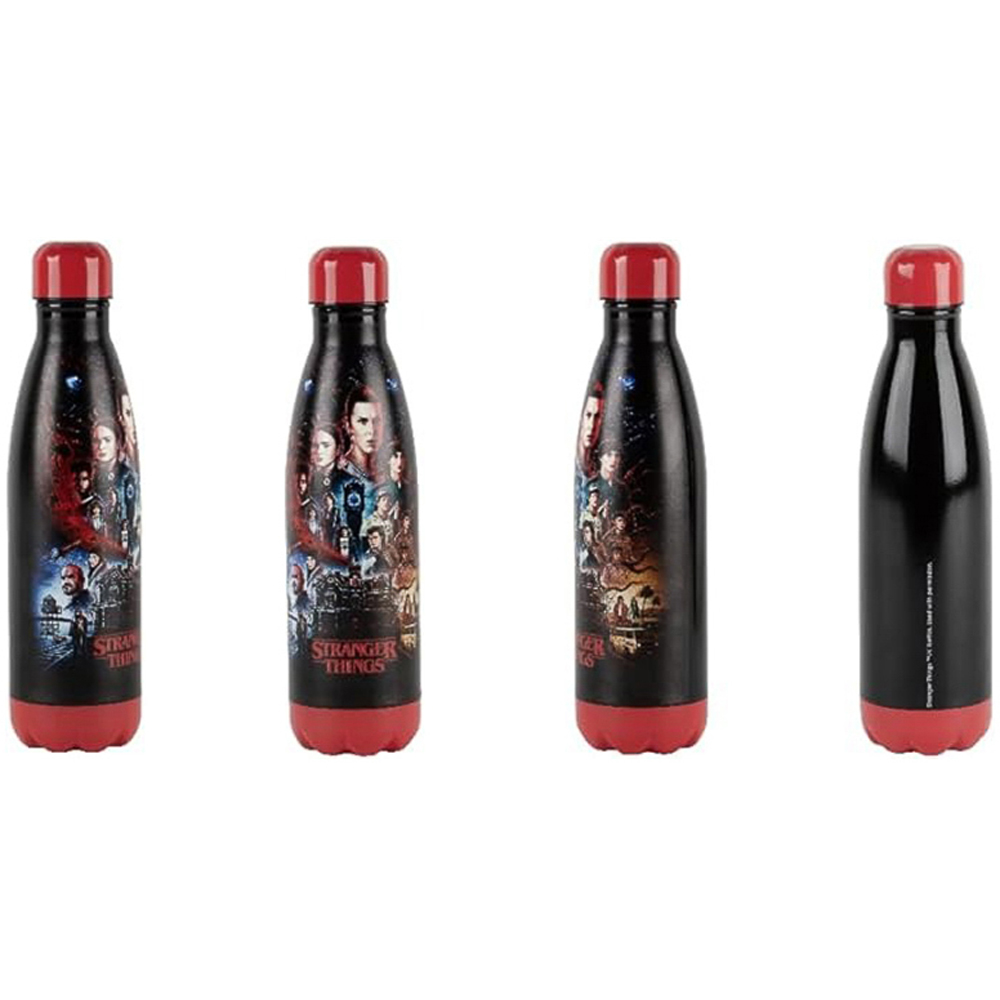 Stranger Things Best Friends Insulated Bottle Image 3
