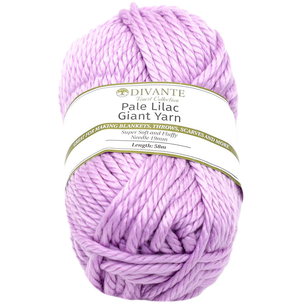 Divante Pale Lilac Giant Yarn 300g Image 1