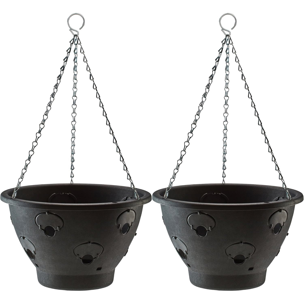 Garden Gear Bloomaround Hanging Basket 30cm 2 Pack Image 1