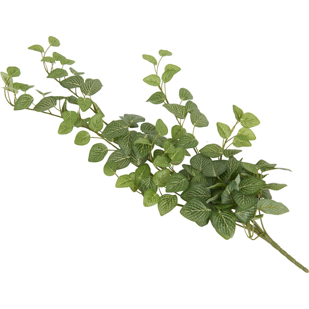 Hanging Fittona Artificial Plant Green Image 6