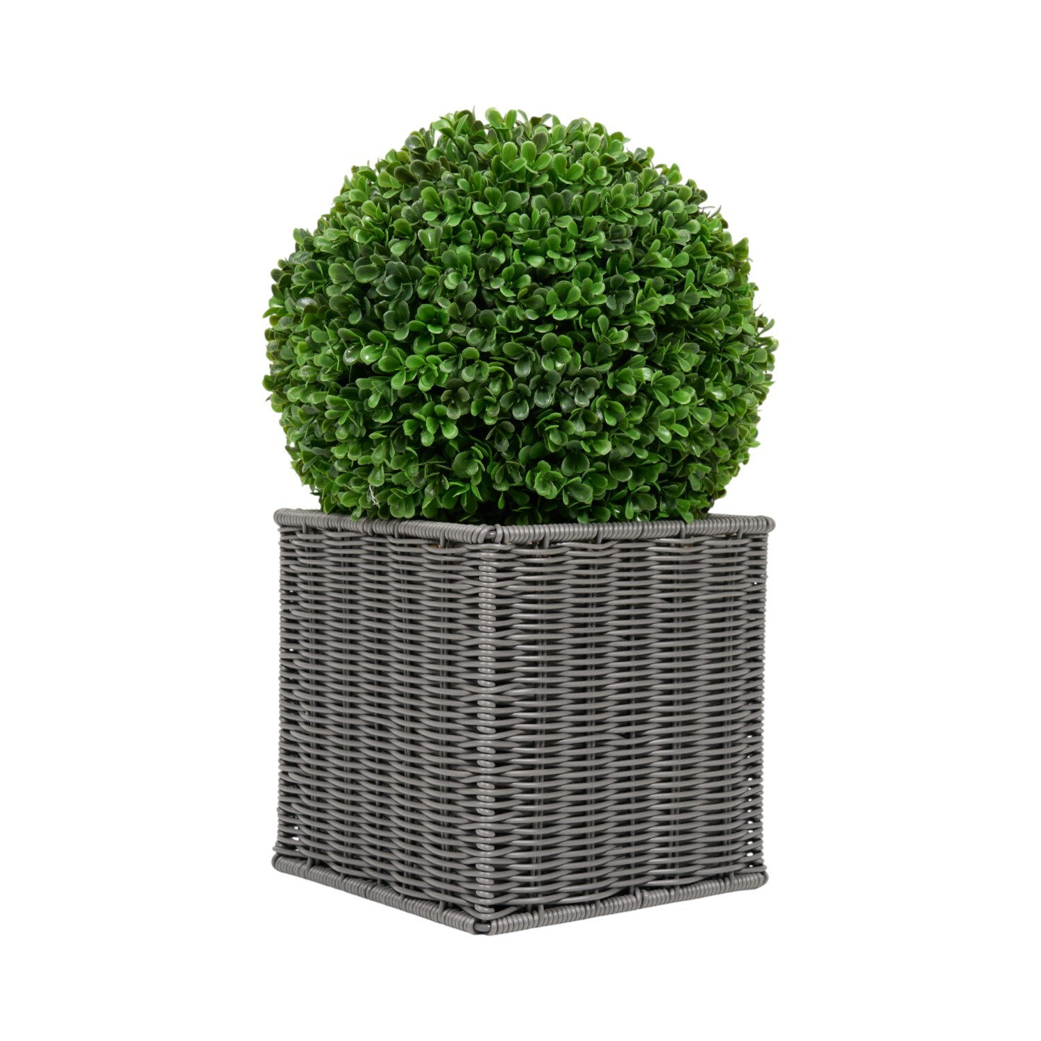 Boxwood Ball in Square Rattan Pot Grey Image 2