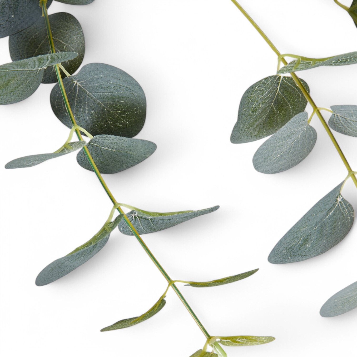 Silk Eucalyptus Stem  - Green Image 3