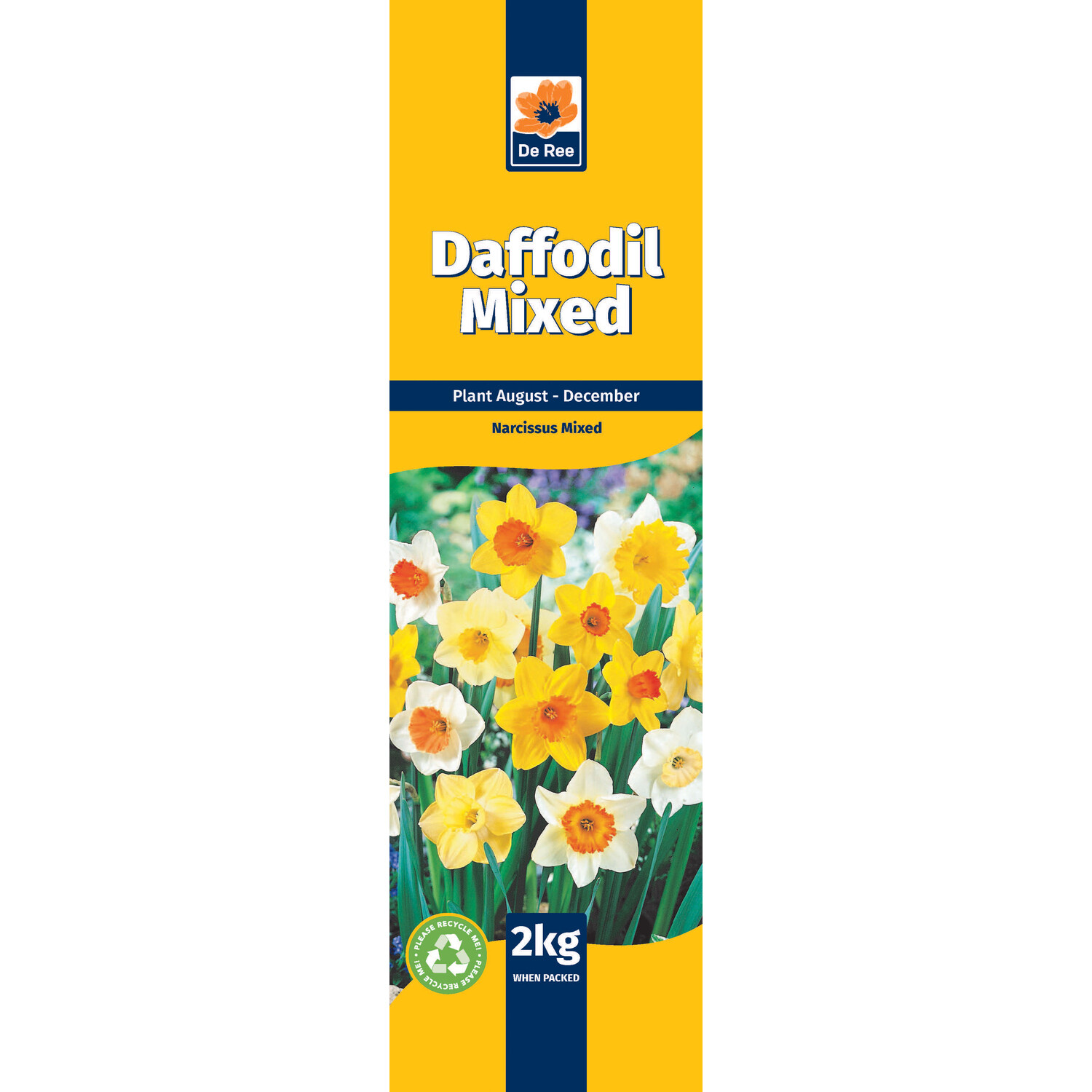 Daffodil Bulbs - Mixed Image
