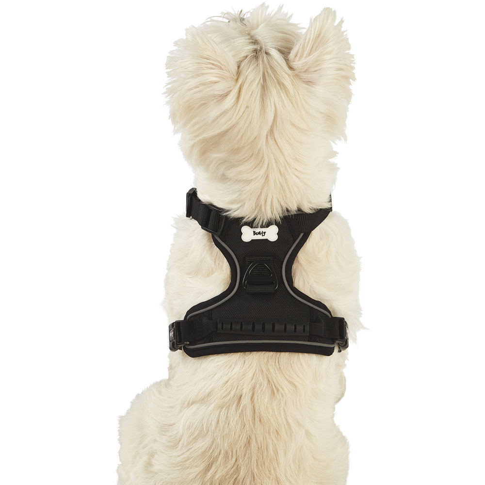 Bunty Adventure Large Black Harness Wilko