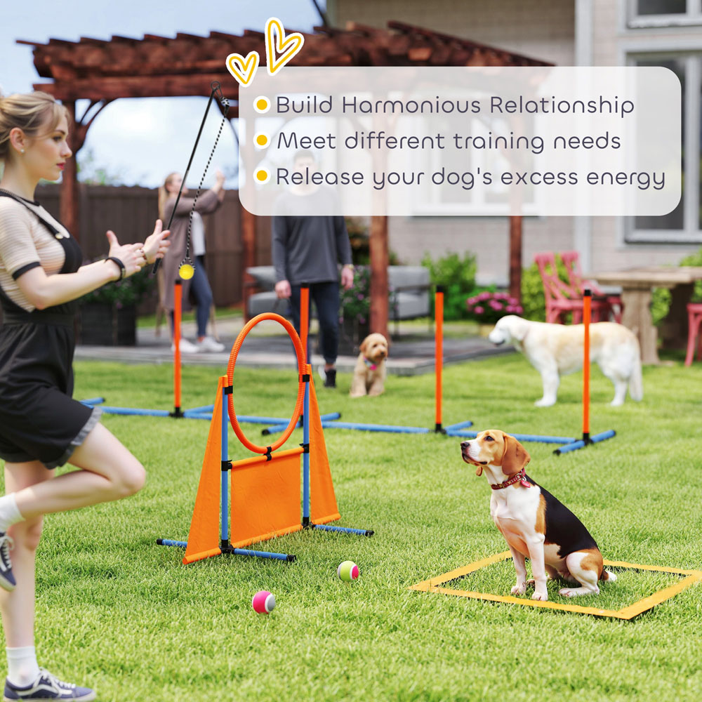 PawHut 7 Piece Dog Agility Set Image 6