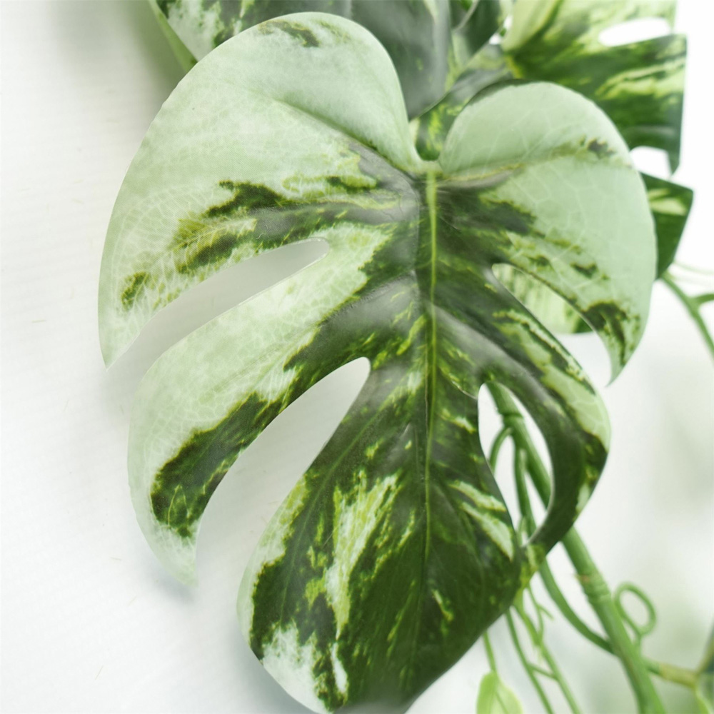 Leaf Trailing Variegated Monstera Hanging Artificial Plant 180cm Image 3