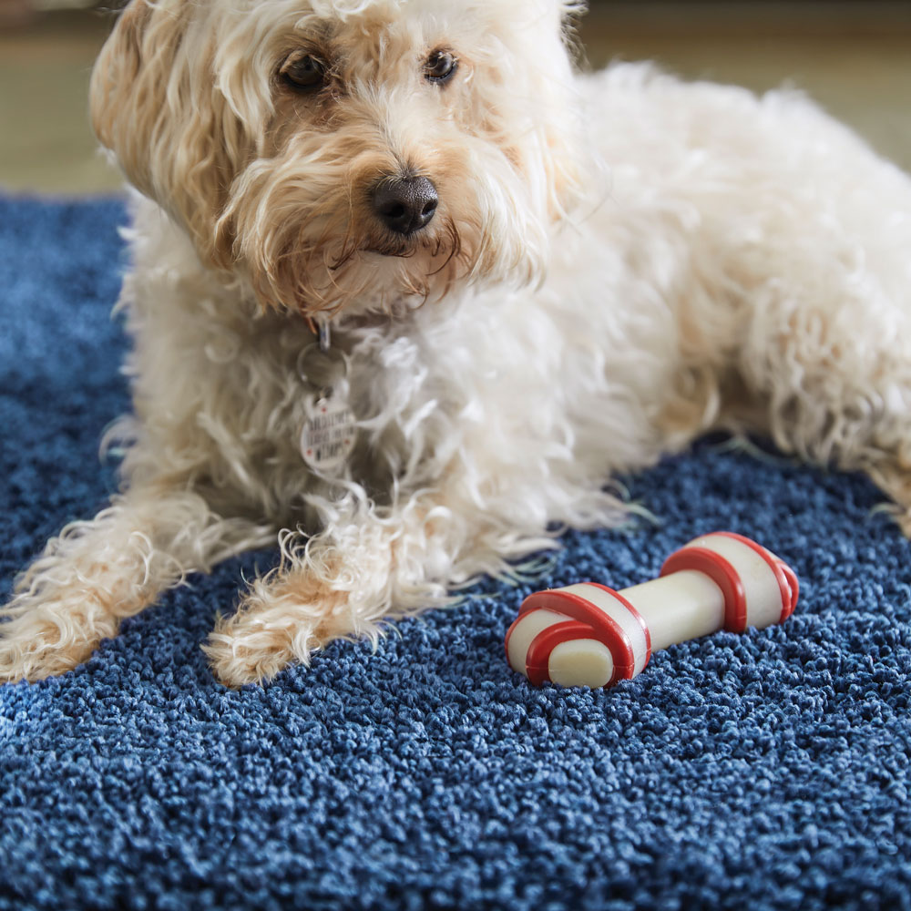 My Rug Midnight Blue Rug 67 x 300cm Image 4