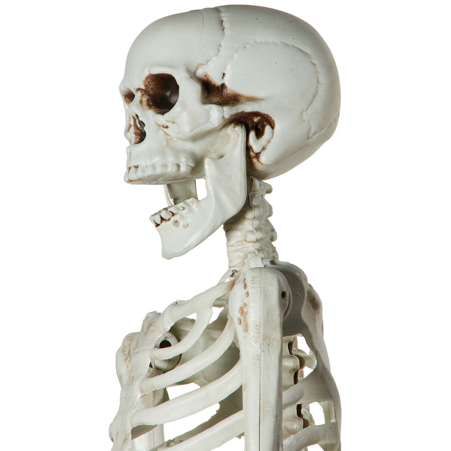 Hanging Posable Skeleton White Image 3