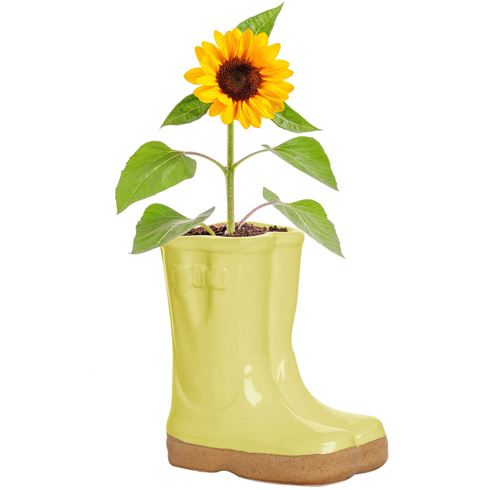 Dibor Yellow Double Wellington Planter 17cm Image 1