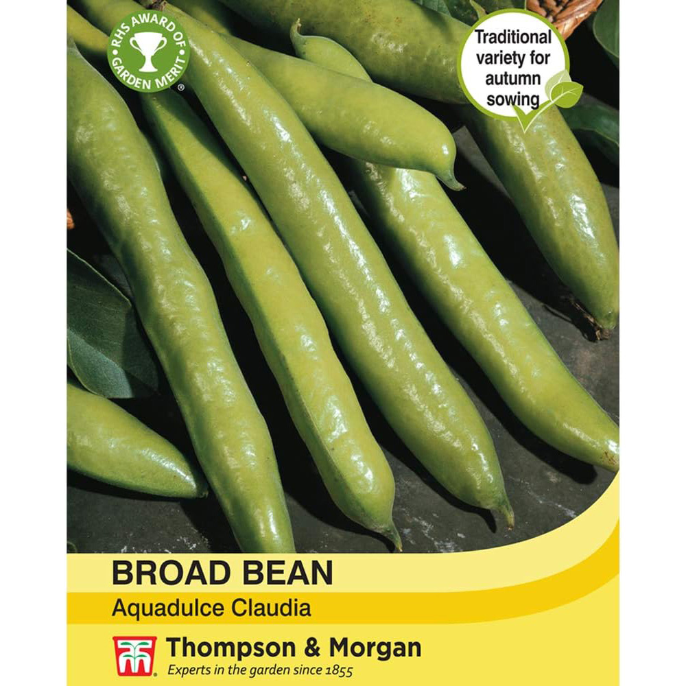 Thompson and Morgan Broad Bean Aquadulce Claudia Seeds Image 2