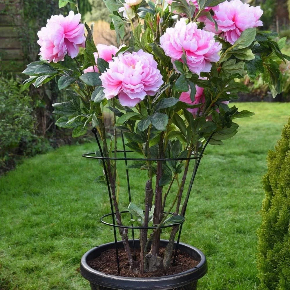 Garden Gear Large Pre-Rust Corten Peony Plant Frame Image 3