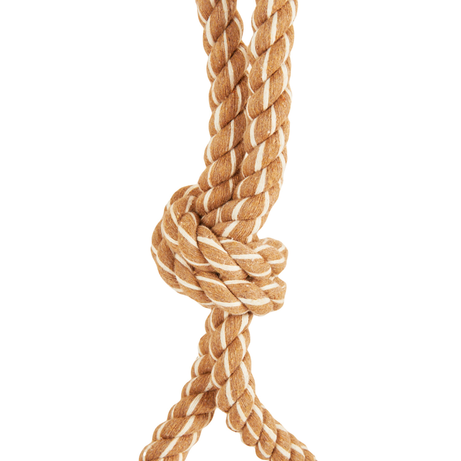 Coffee Wood Rope Dog Toy Image 3