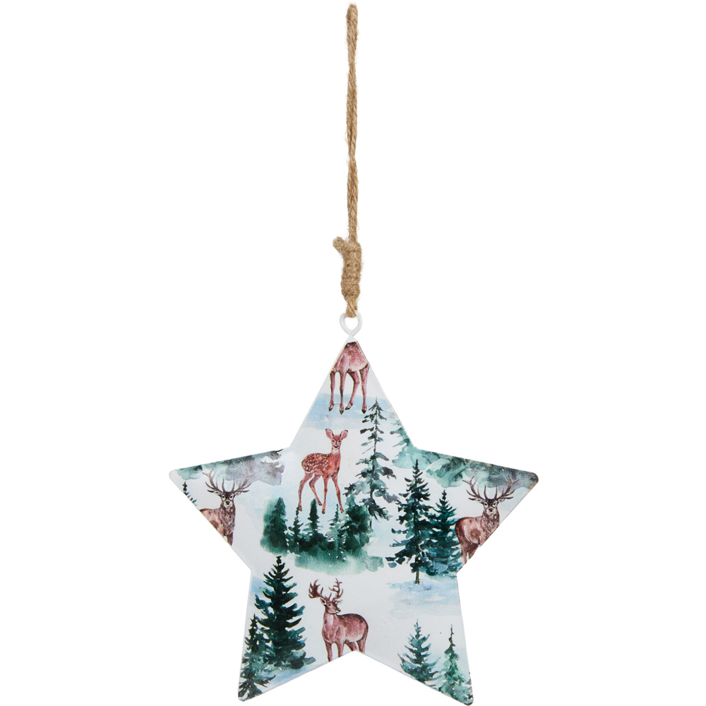 Metal Scandi Hanging Star Decoration Image 3