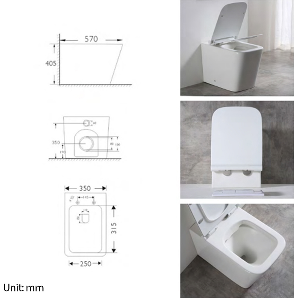 Limoge Oran White Back to Wall Rimless Toilet Pan Image 3