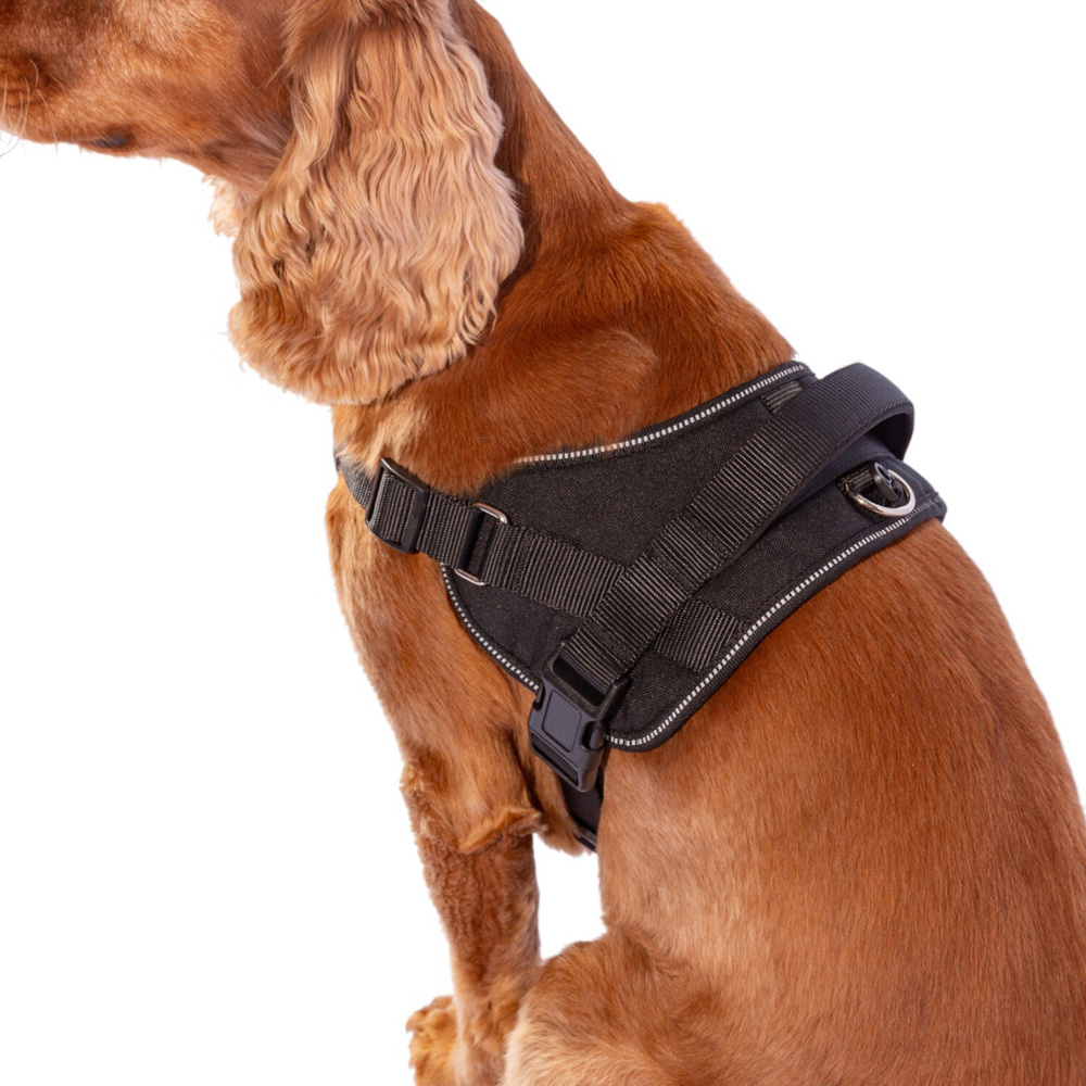 Explorer Harness Black Large Image 5