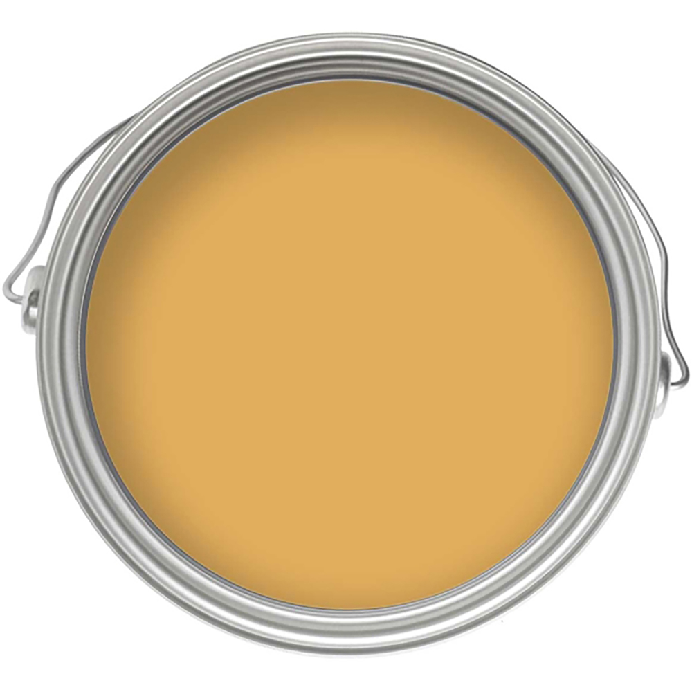 Craig & Rose Walls and Ceilings Jarosite Chalky Emulsion Paint 5L Image 3