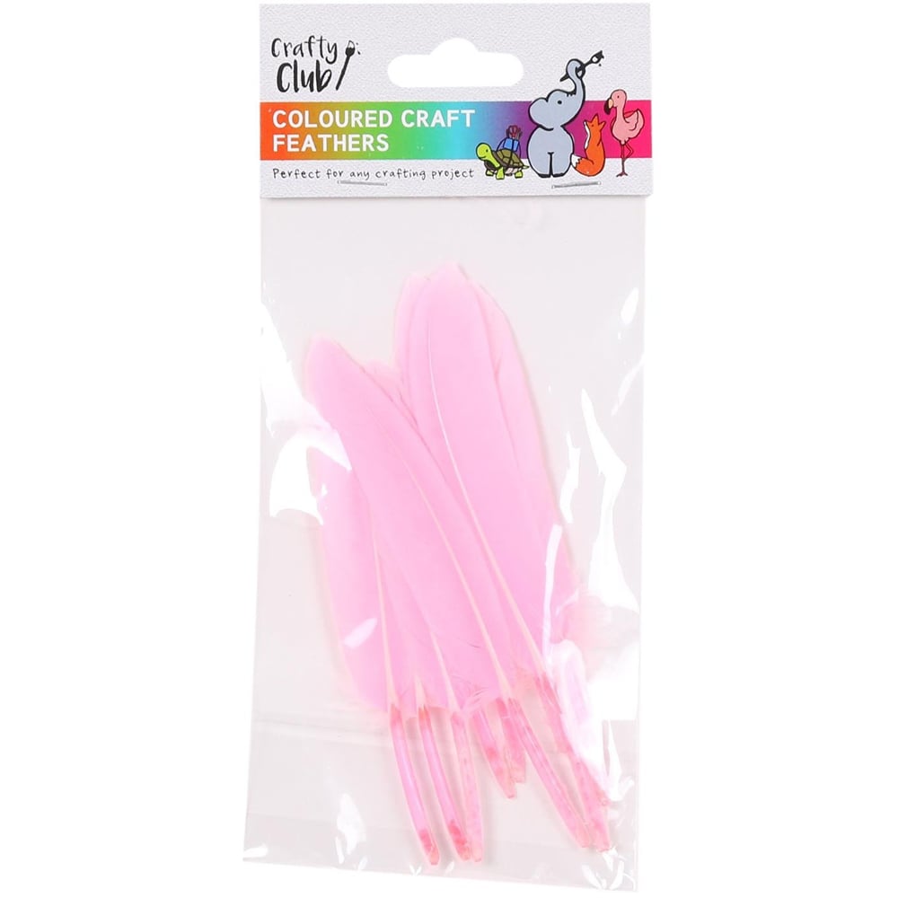 Crafty Club Coloured Craft Feathers Image 2