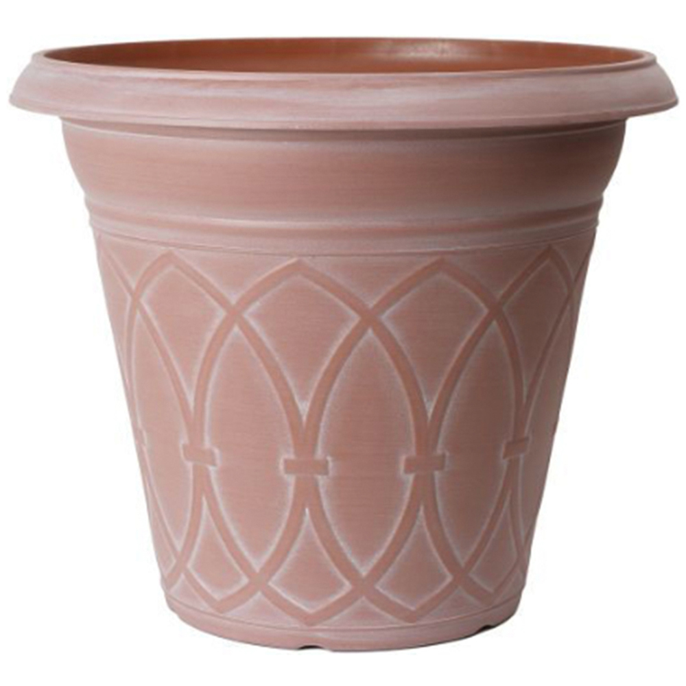 YouGarden English Lavender Grow Kit Image 4