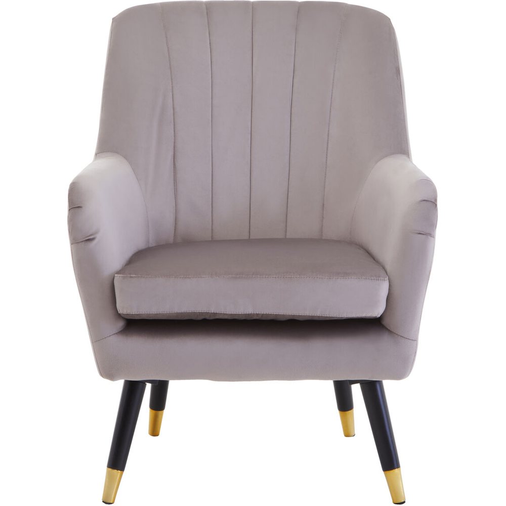 Premier Housewares Loretta Mink Velvet Accent Chair with Black Legs Image 3