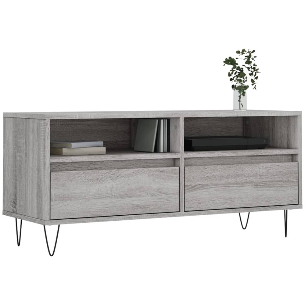 vidaXL 2 Drawer 2 Shelf Grey Sonoma TV Cabinet Image 3