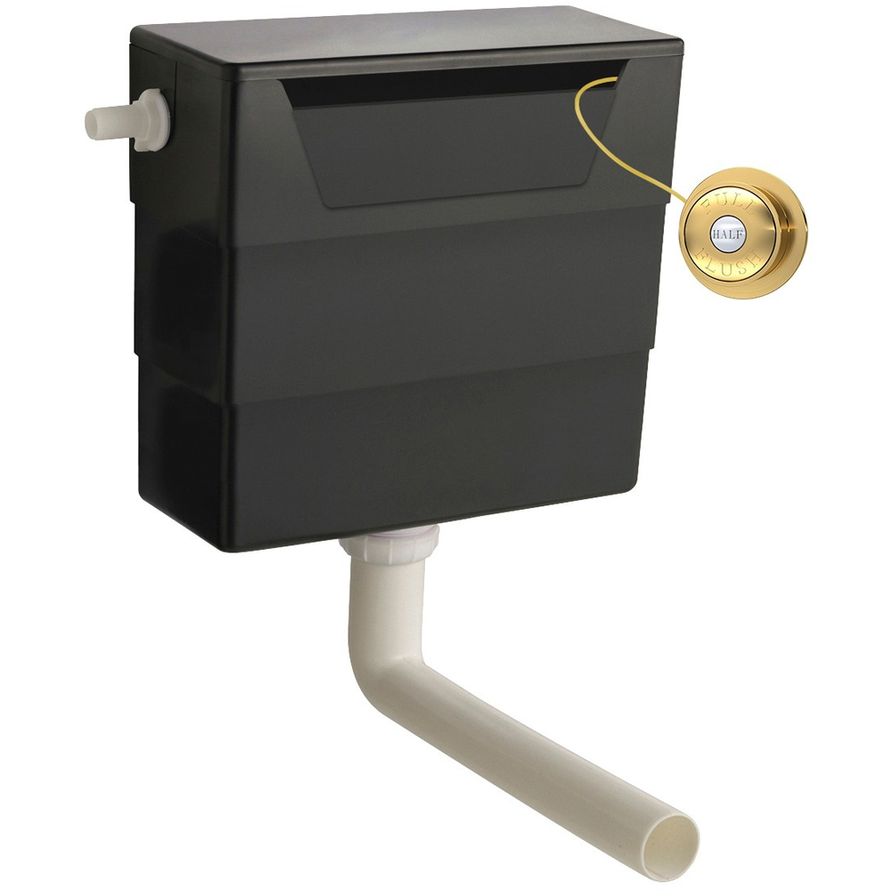 nuie Ceramics Accessories Universal Access Cistern with Brushed Brass Flush Plate Image