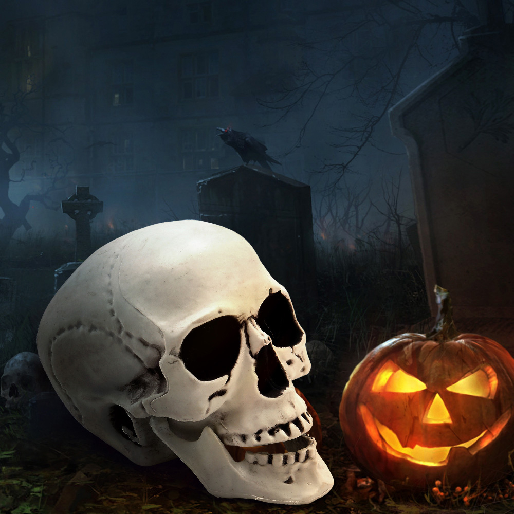 Living and Home Halloween Realistic Tabletop Skull 22cm Image 6