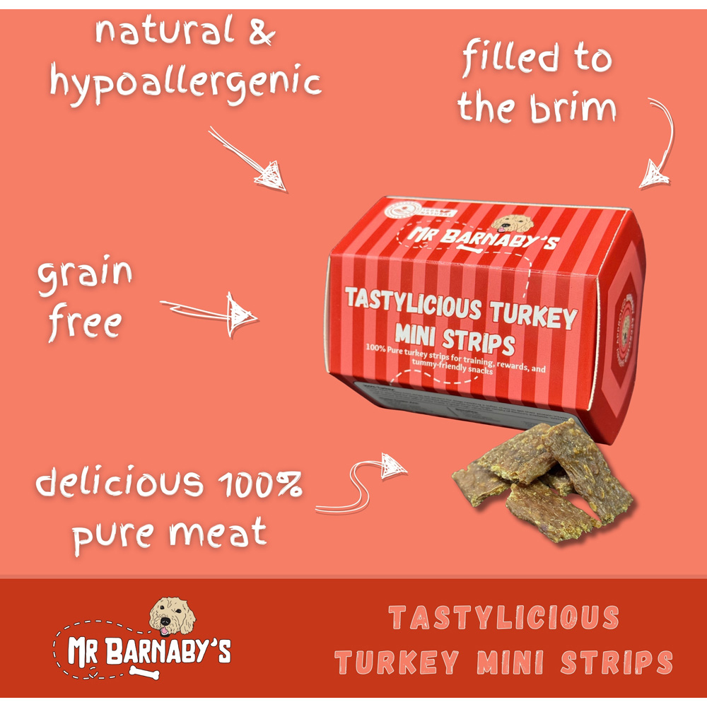 Mr Barnaby's Tastylicious Turkey Mini Strips Grain-Free Hypoallergenic Dog Treats 100g 2 Pack Image 3