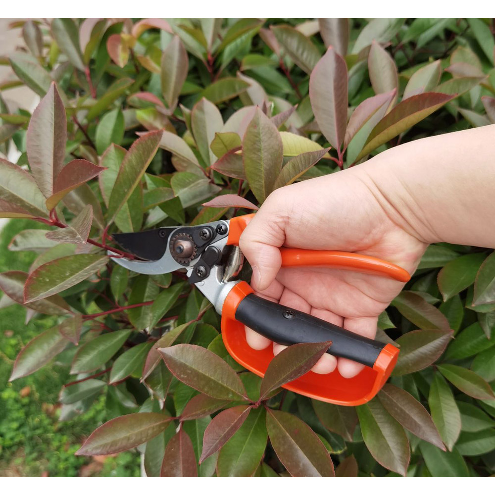 Avilo Carbon Steel Blades Ergonomic Pruner with Non-Slip Handles and Safety Lock  Image 7