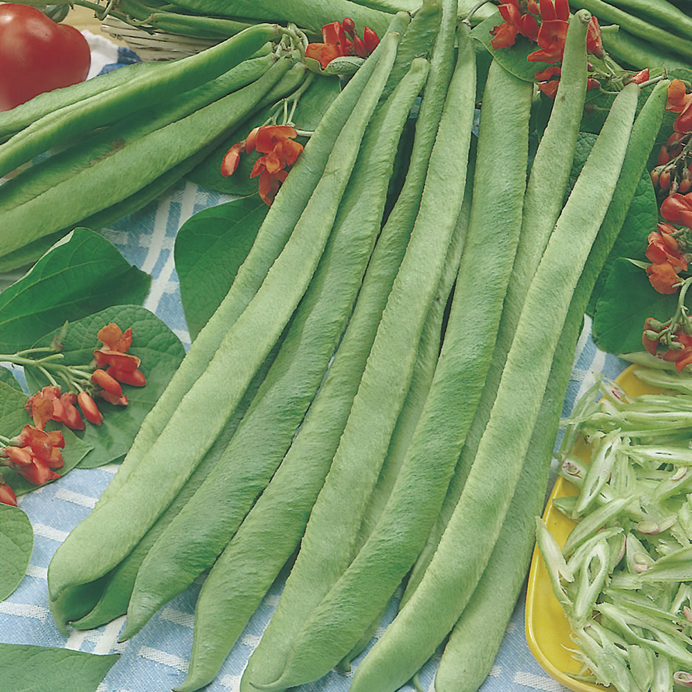 Wilko Streamline Runner Bean Seeds Image 1