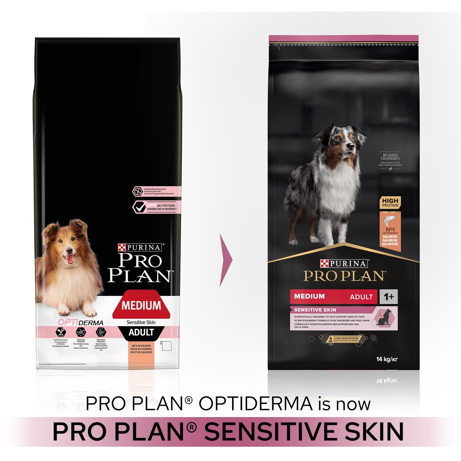 Pro Plan Medium Adult Sensitive Skin Dog Food Image 3