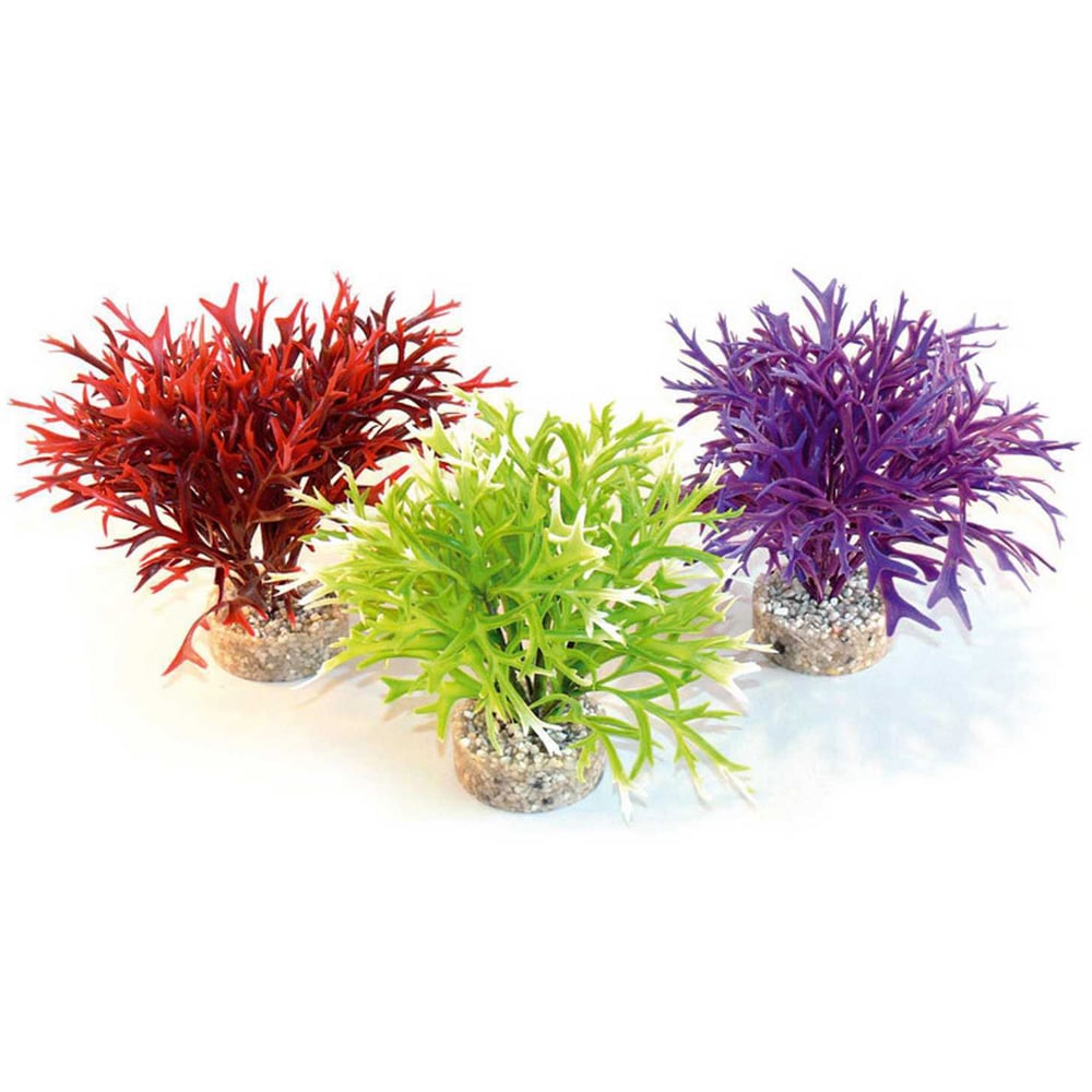 Sydeco Aqua Water Fern Image