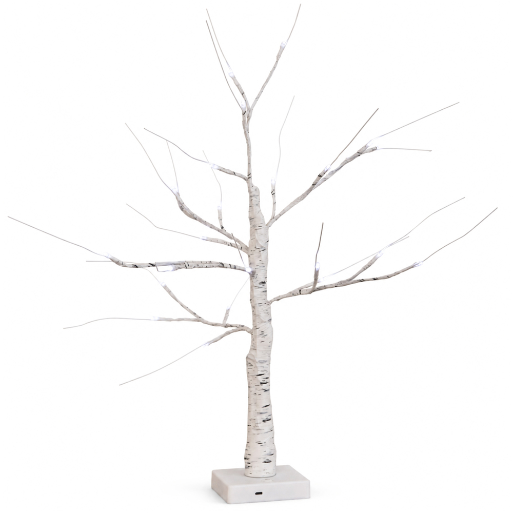 Samuel Alexander 24 Cool White LED Light-Up Christmas Birch Tree 2ft Image 1