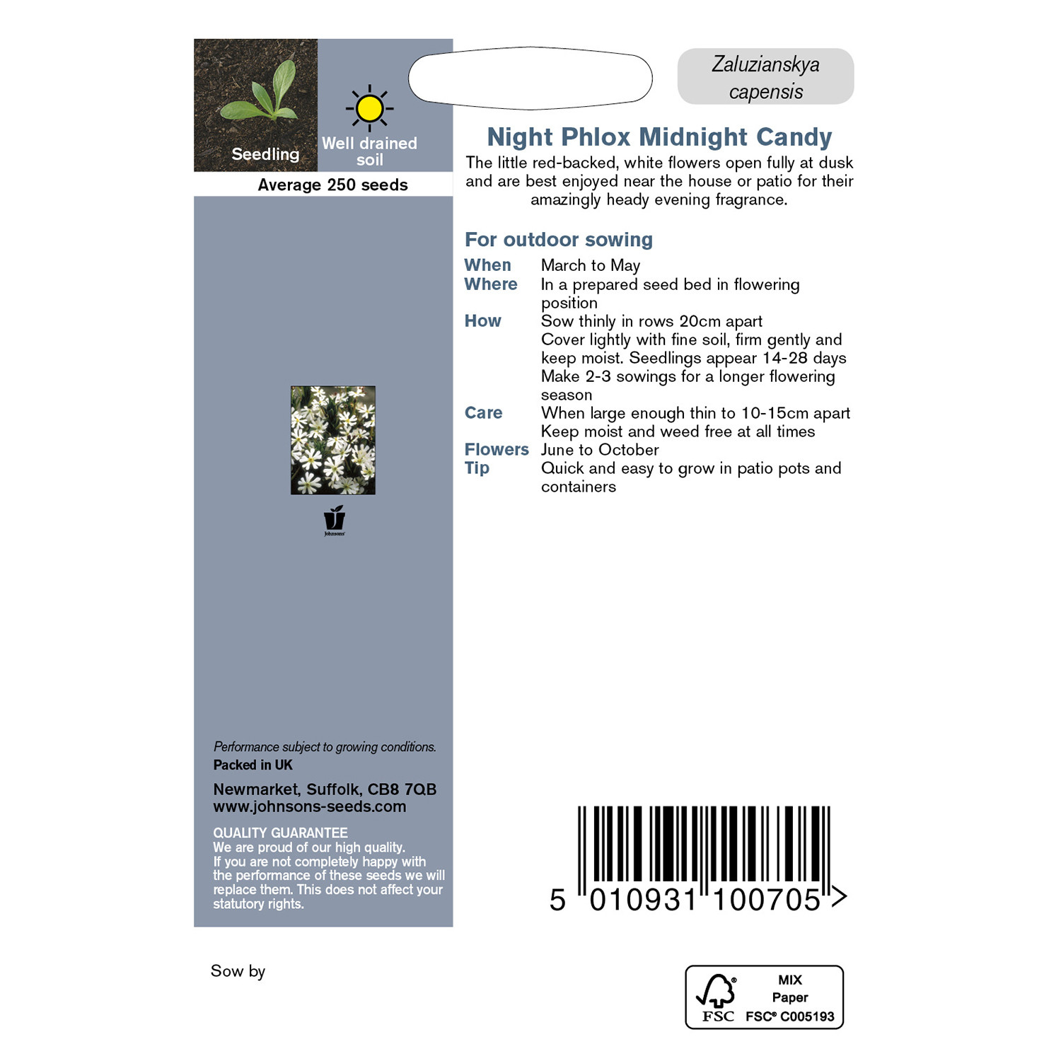 Johnsons Night Phlox Midnight Candy Flower Seeds Image 3