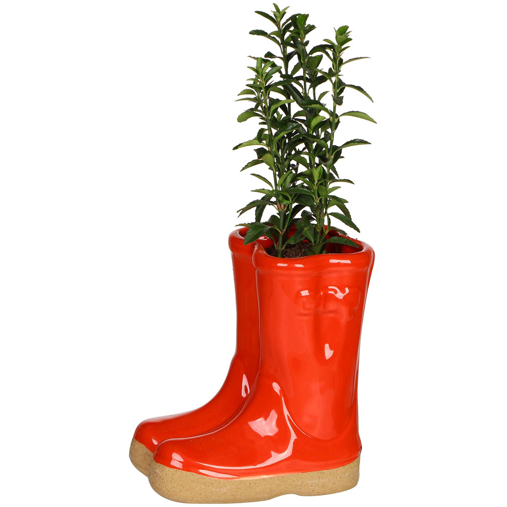 Dibor Red Double Wellington Planter 17cm Image 1