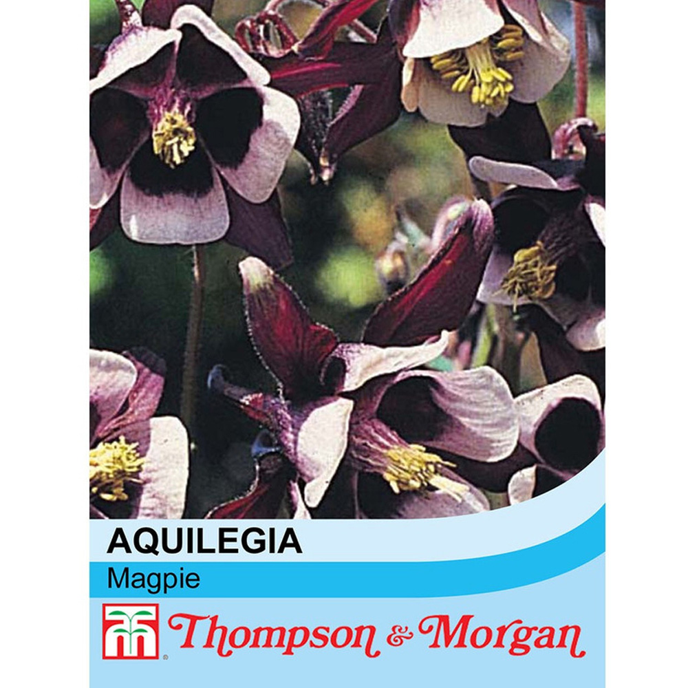 Thompson & Morgan Aquilegia Vulgaris Magpie Seeds Image 3
