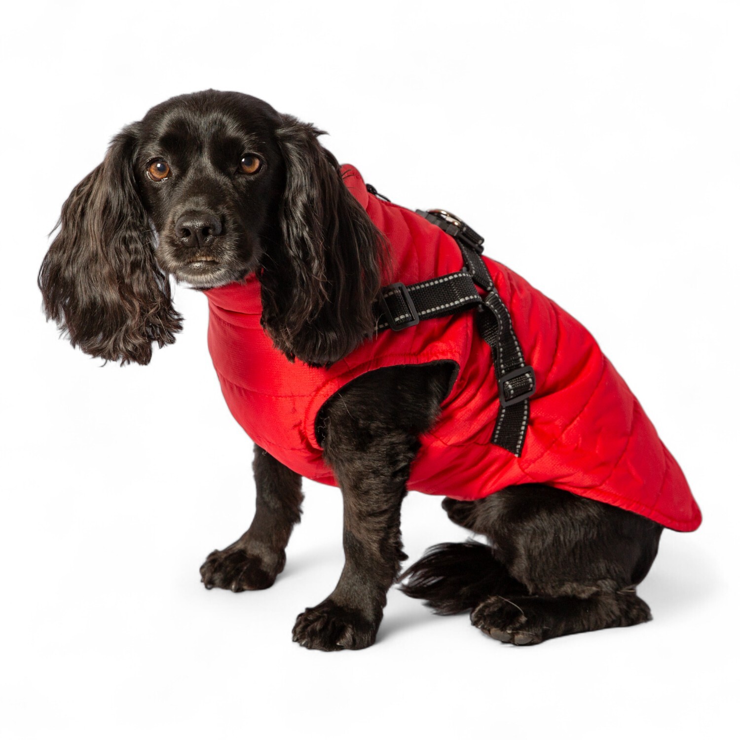 Dog Harness Jacket L Image 5
