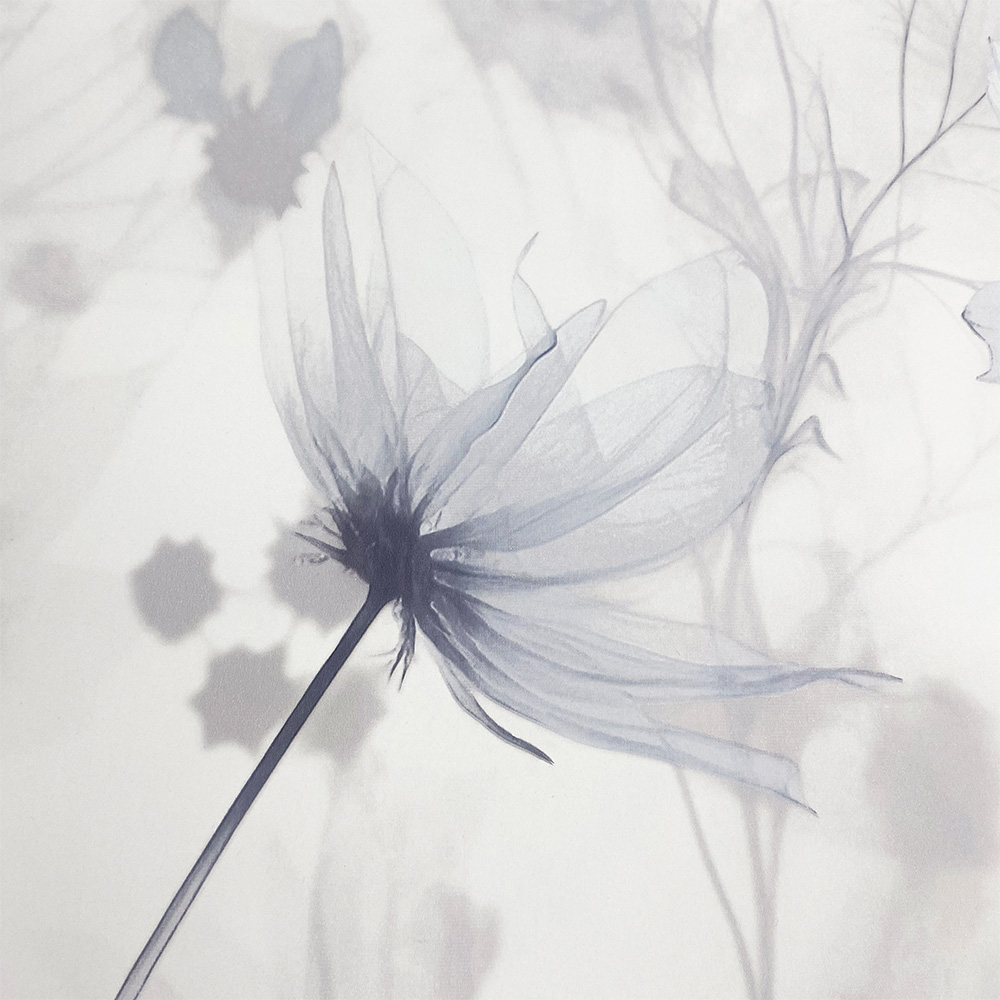 Muriva Lissa Flowers Blue Wallpaper Image 4