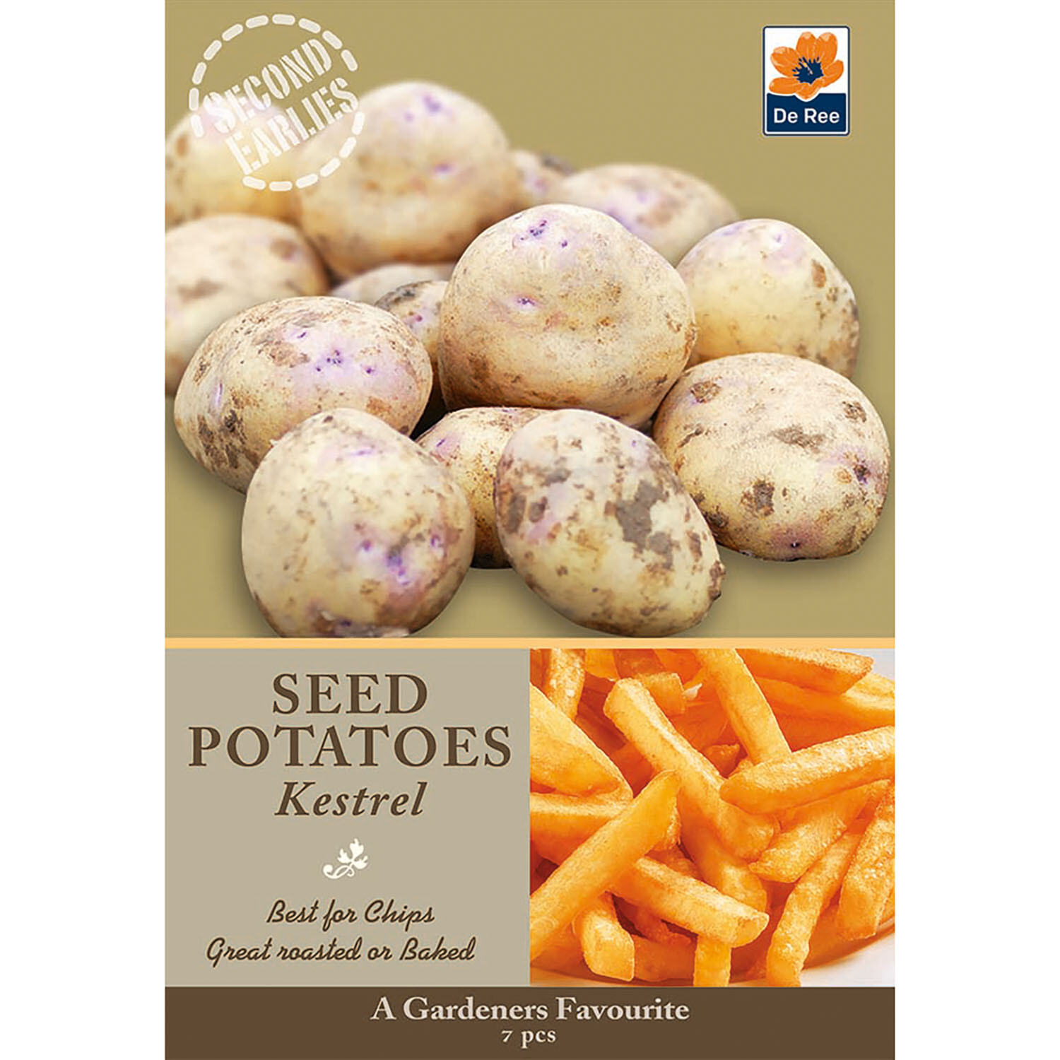 De Ree Seed Potatoes - Brown Image 2